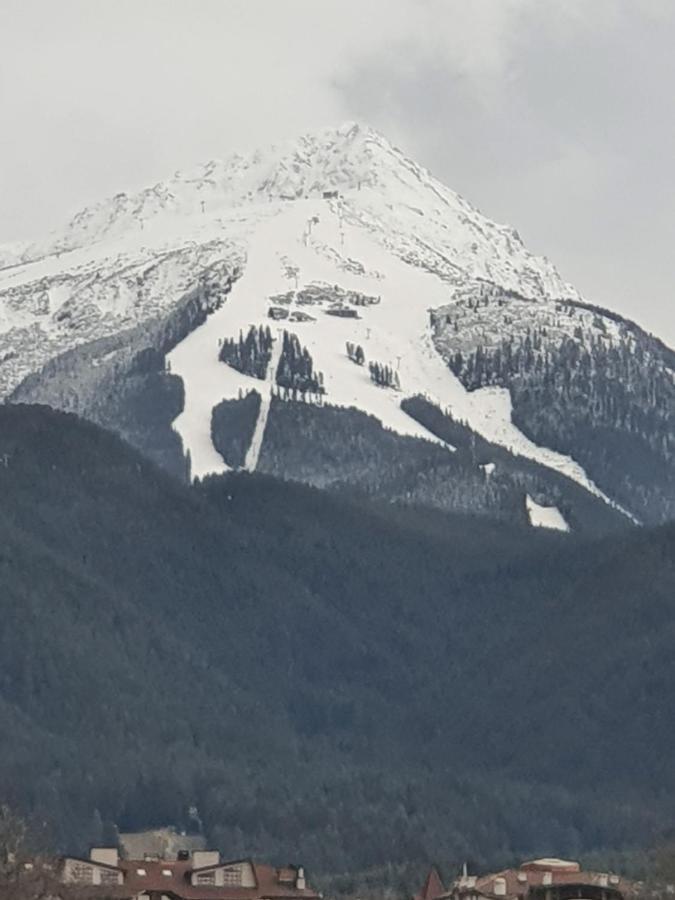Тодор Прегьов Bansko Extérieur photo